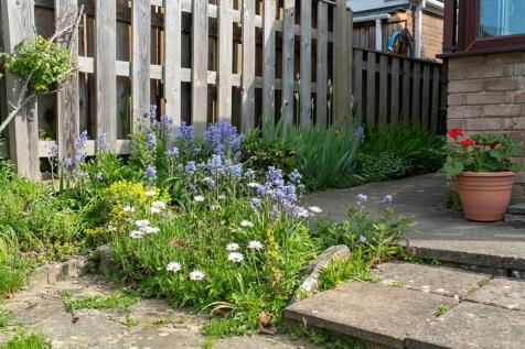 Property Image 44