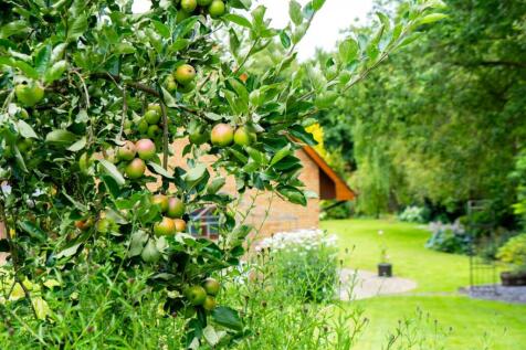 Property Image 65