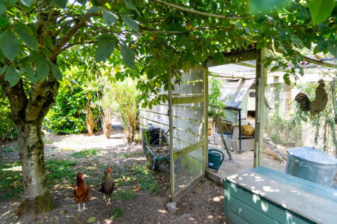 Property Image 81