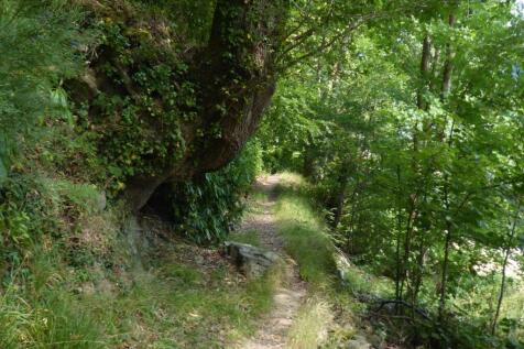 Nyth Woodland Path