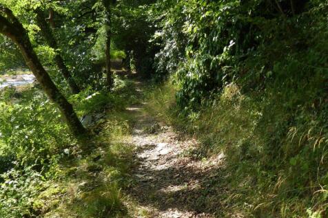 Nyth Woodland Path