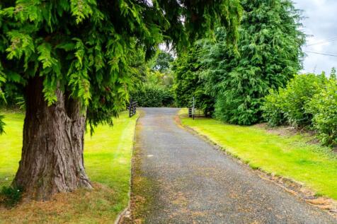 Property Image 54