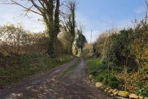 CAM00637P1-PR0405-STILL02.jpg