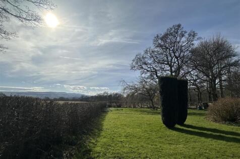 IMG_3128.jpeg