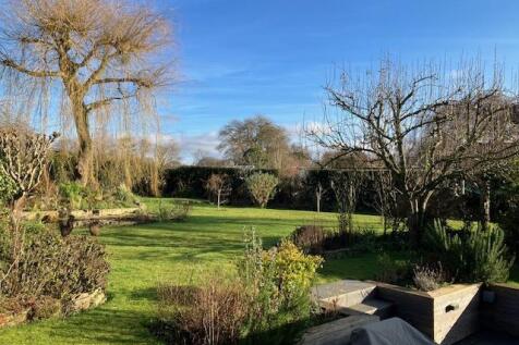 Garden 4.jpg