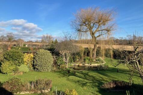 Garden 5.jpg