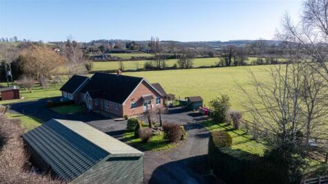 DJI_20250130115448_0023_D-2.jpg
