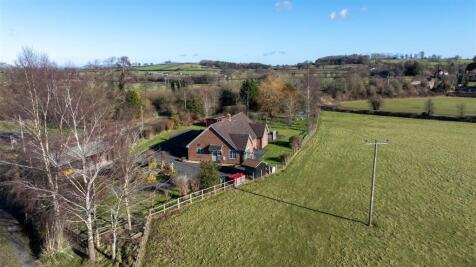 DJI_20250130115517_0025_D.jpg