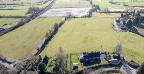 DJI_20250130114042_0001_D.jpg