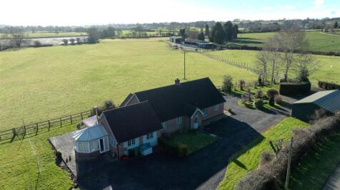 DJI_20250130115133_0015_D.jpg