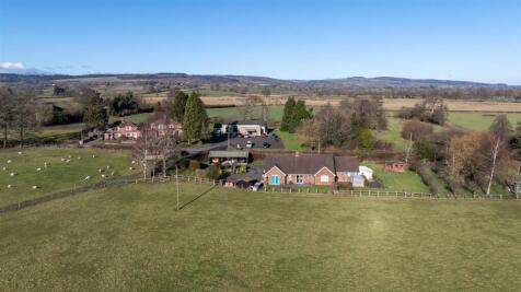 DJI_20250130114358_0006_D.jpg