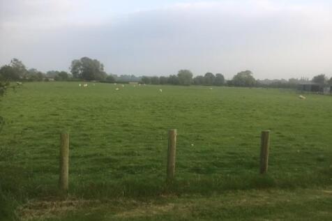 Fields.jpg