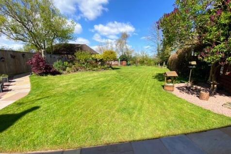 Garden photo 1.jpg