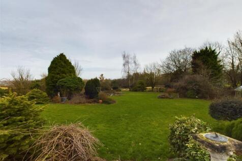 Garden.jpg