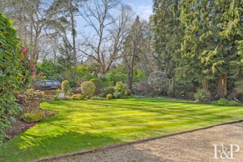 Property Image 6