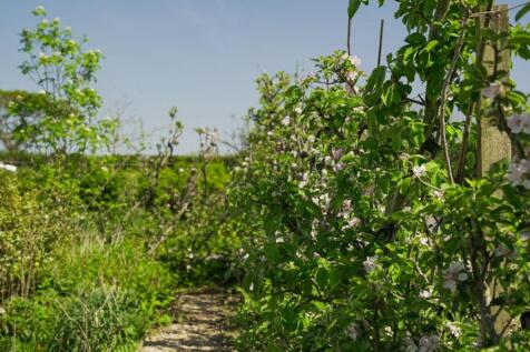 Property Image 64