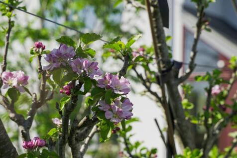 Property Image 65