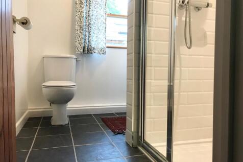 Downstairs Shower room
