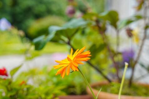 Property Image 69