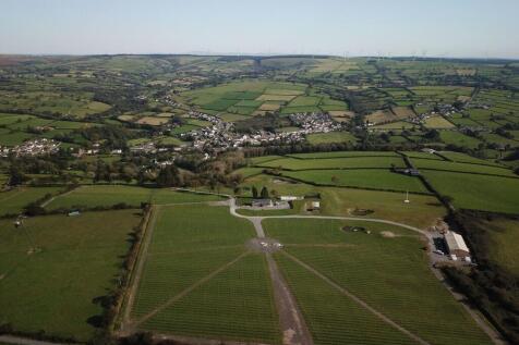Sticle Vineyard