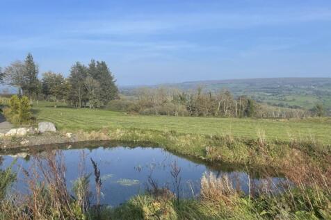 Guesthouse pond