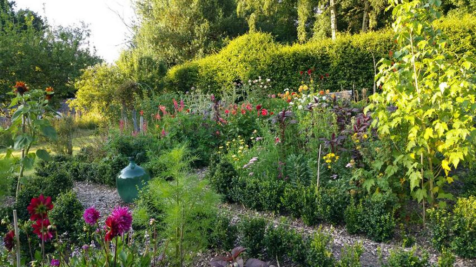 Property Image 46