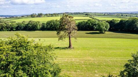 Property Image 55