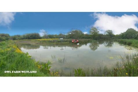 wetland