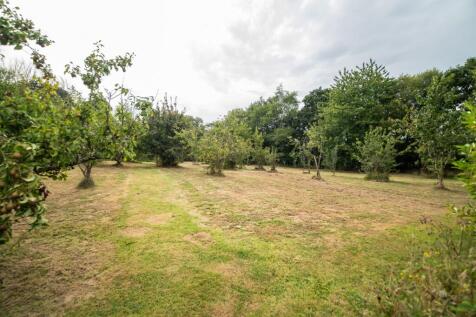 Property Image 43