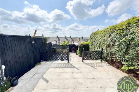 Back Garden 