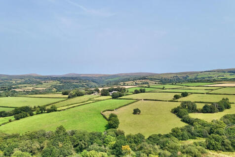Dartmoor Paddock ...