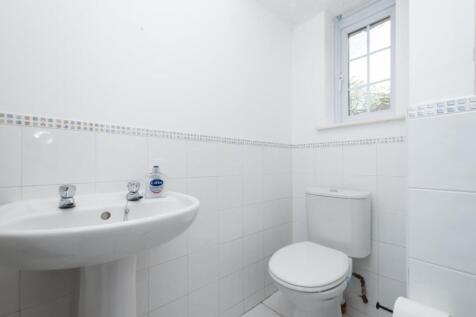 Picture 8