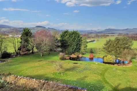View over garden