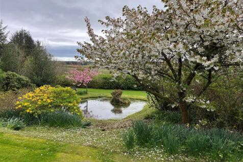 Pond