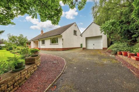 Parking and Driveway