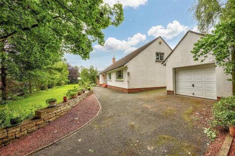Parking and Driveway
