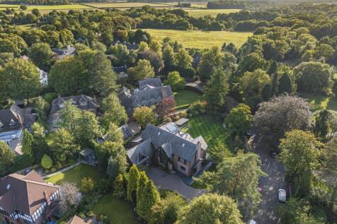 Property Image 41