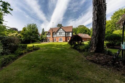 Property Image 41