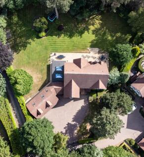Property Image 42