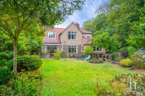 Property Image 23