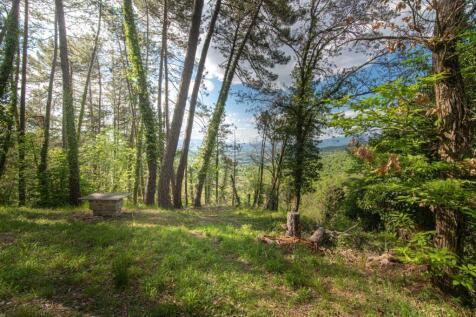 Property Image 63