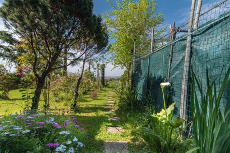 Property Image 74