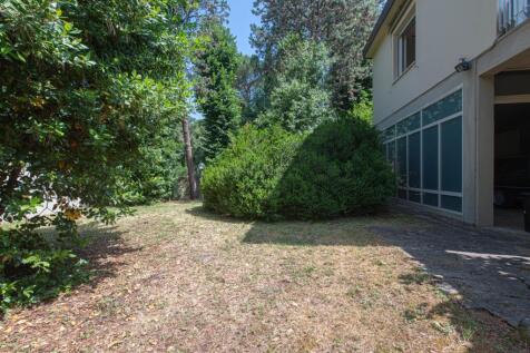 Property Image 78