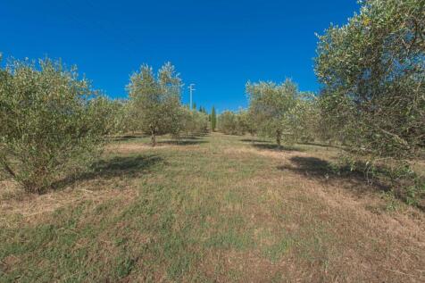 Property Image 61