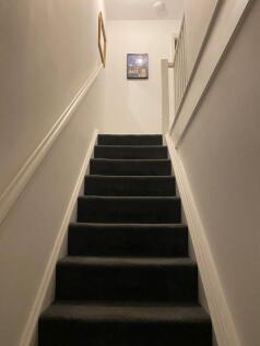 alpine-grove-e9-7sx-983396