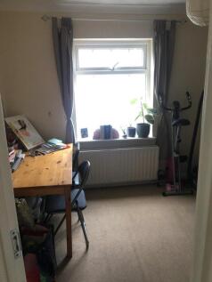 bear-lane-gu9-7lf-911223