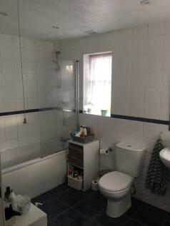 bear-lane-gu9-7lf-911218