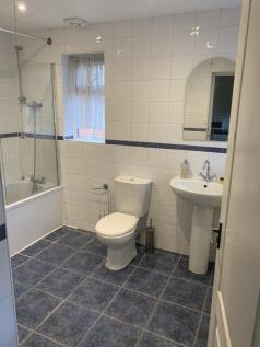 bear-lane-gu9-7lf-955783