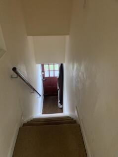 bear-lane-gu9-7lf-955784