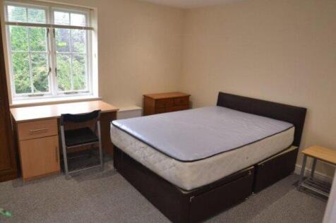 chervil-close-m14-7dp-994931